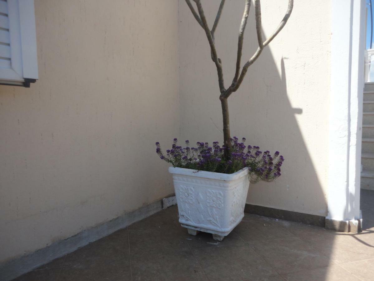 Oruci Apartments クサミル エクステリア 写真